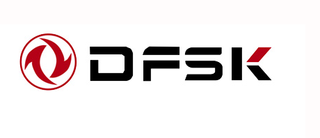 Logo de Dfsk